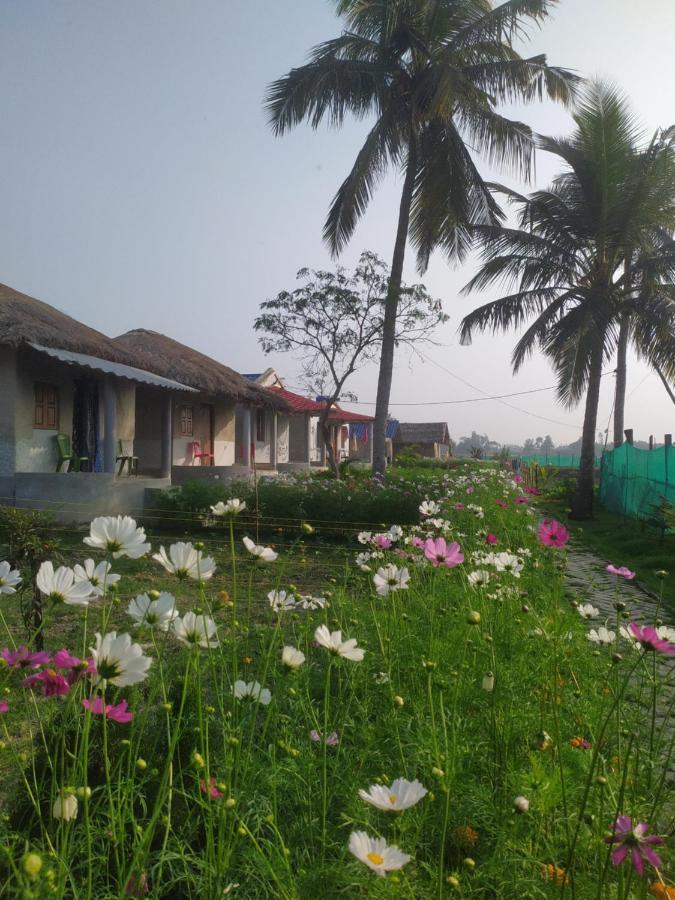 Sundarban Jungle Mahal Resort Gosaba Ngoại thất bức ảnh